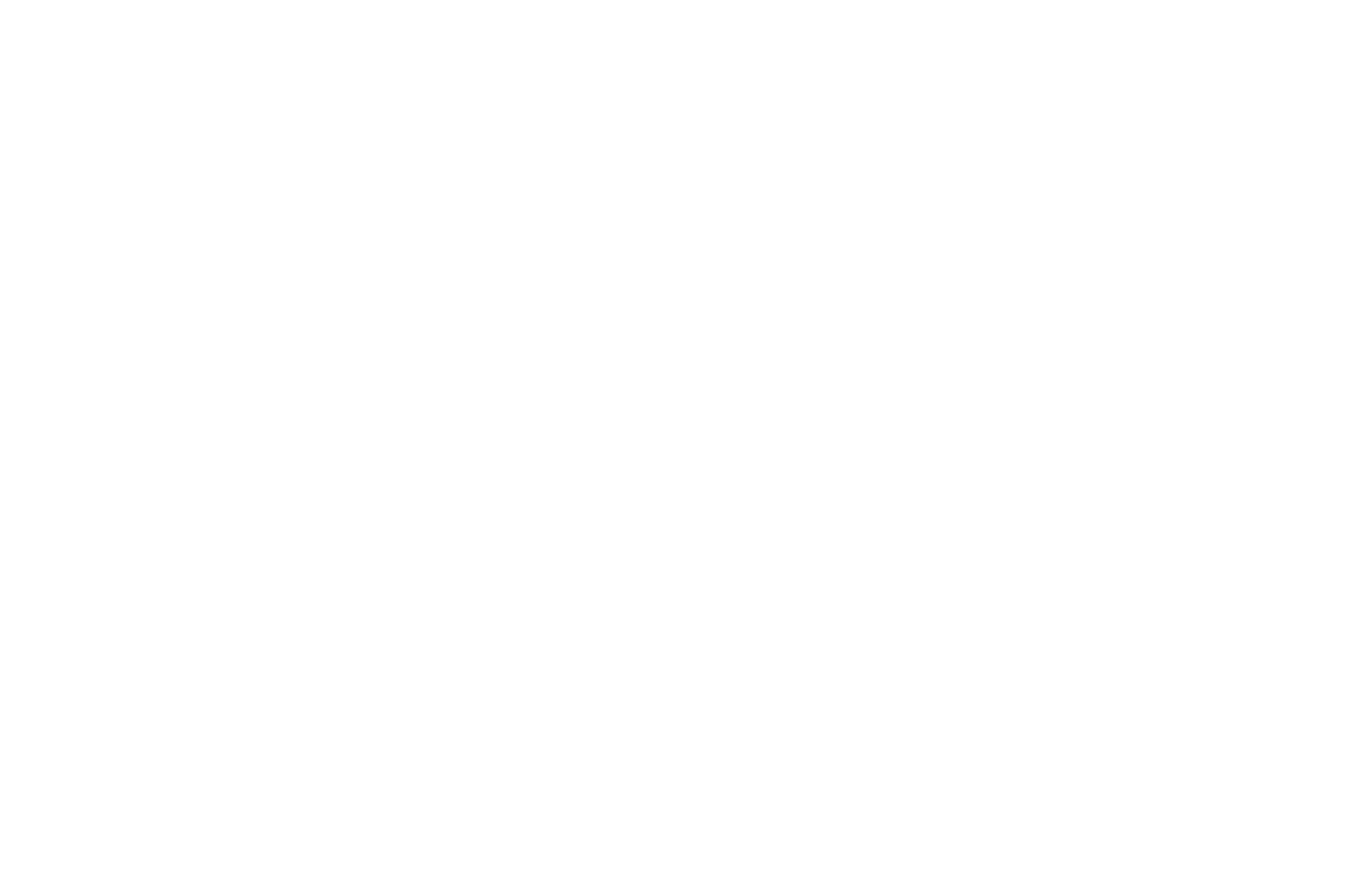Bluehive Consulting Asia logo