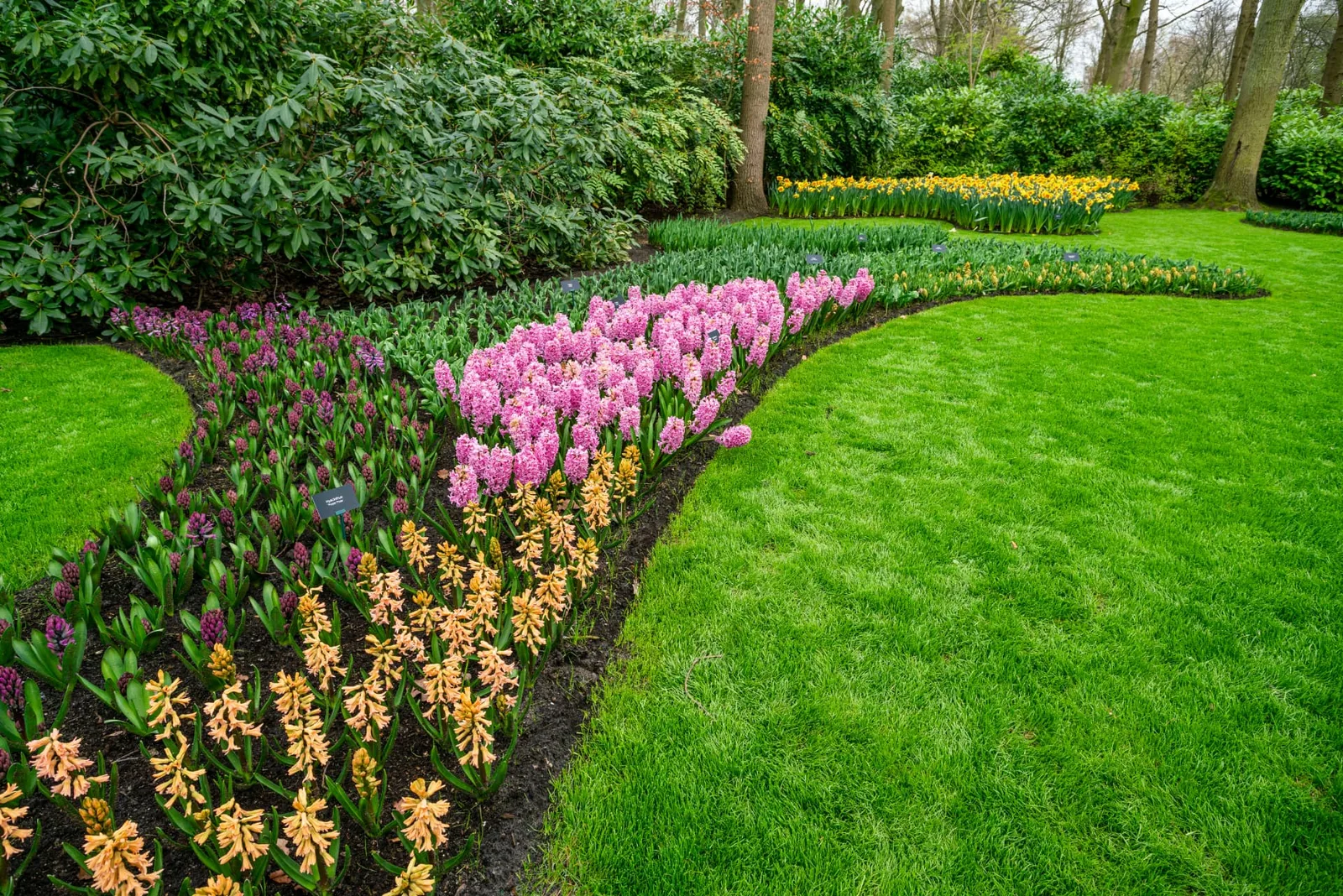 Singapore Landscaping Company business transformation project by Bluehive Consulting Asia